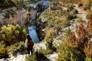 Wandelsport