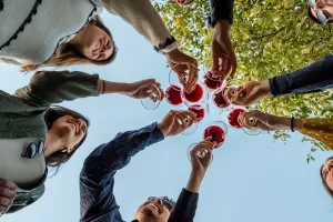 Der Geschmack Von Somontano