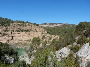 Surgencias de la Tamara y el Puntillo