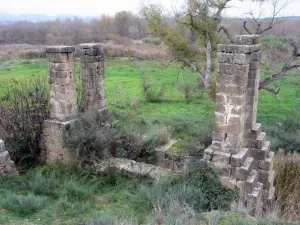Wasserrad. Castejón del Puente