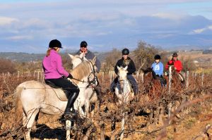 Paseos a caballo