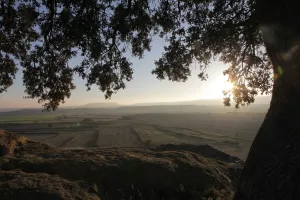 Monesma de San Juan