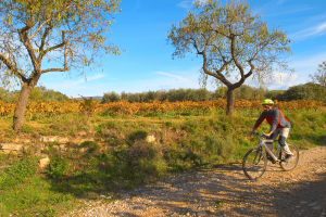 Route des Vignes de Guara