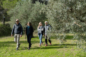Ruta del aceite
