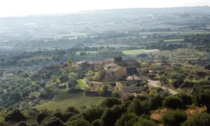 Radiquero