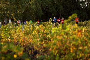 À travers les vignobles de Guara Somontano