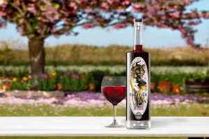 Binomio Vinos