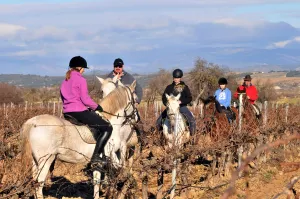 Horse riding
