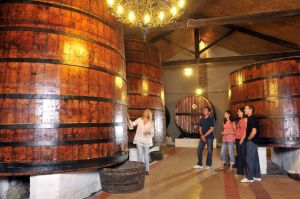 Visites de caves