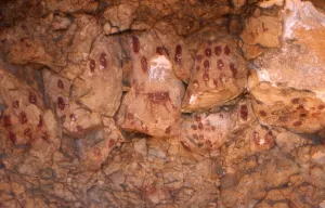 Forau del cocho. Estadilla