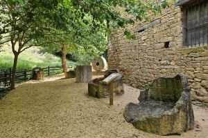 Molino de aceite de Radiquero
