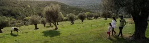De natuur observeren