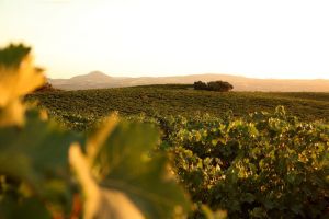 Barbastro, Partida de la Almunieta