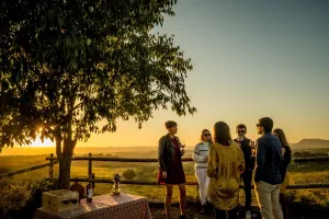 Gente bebiendo vino y charlando en Somontano