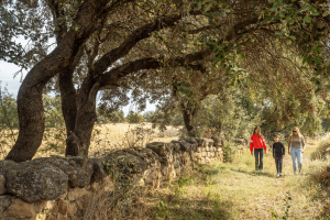 Camino Histórico de Berbegal
