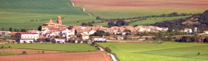 Barrancos