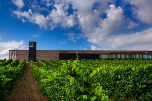 Bodega Laus
