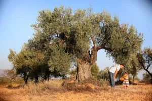 Biodiversidad