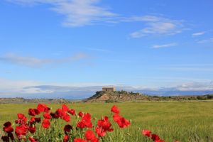 Ruta de David Gómez. Torres de Alcanadre