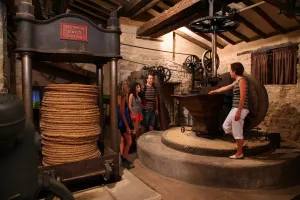 Conoce un antiguo molino de aceite