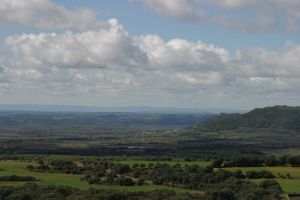 Viñedos de Salas Altas