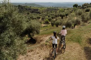 Campos de Bierge route