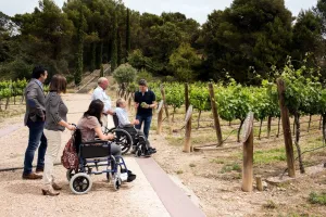 Enoturismo Accesible
