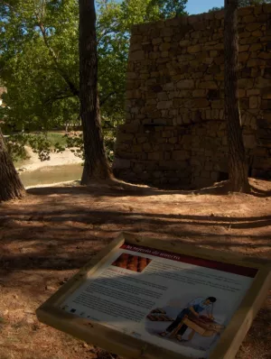 Tejería. Huerta de Vero