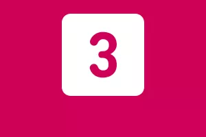 3 días