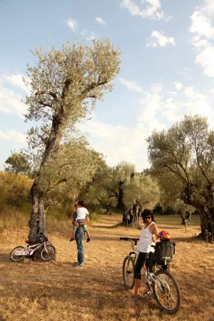 Santa María de Dulcis route
