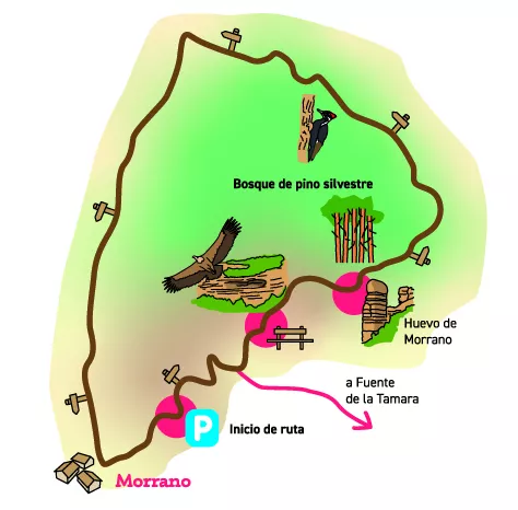 mapa pe&ntilde;a falconera