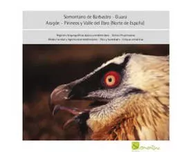 Cover of the birdwatching in Somontano brochure