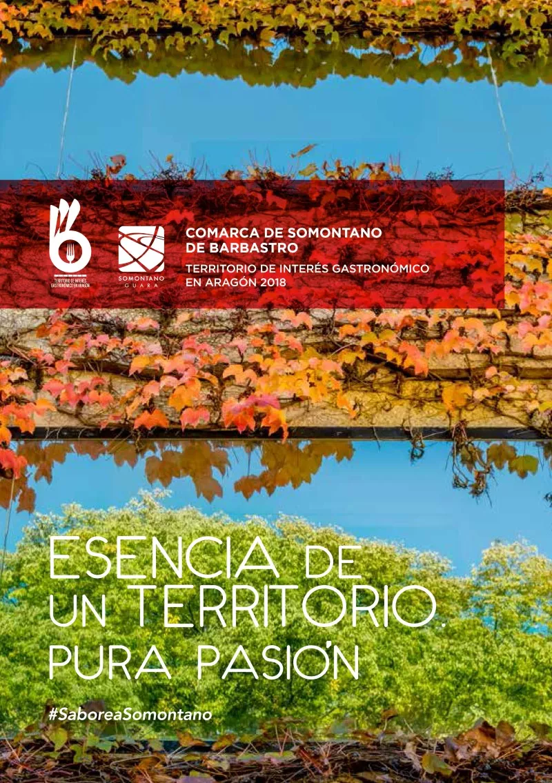 Cover of the Taste Somontano magazine