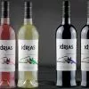 Bodega Idrias 1