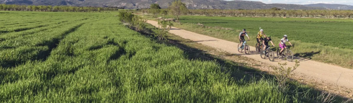 Ruta Ribera del Alcanadre