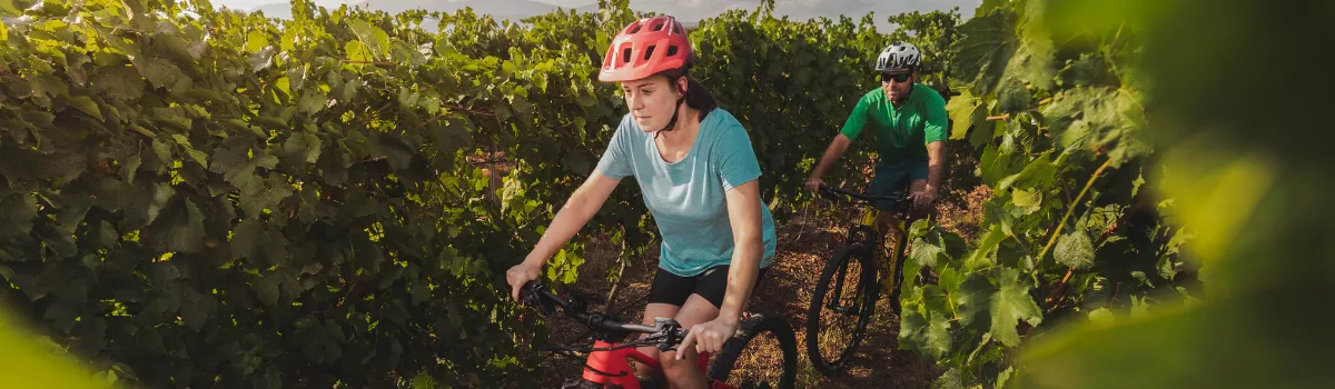 Ruta Ribera del Vero