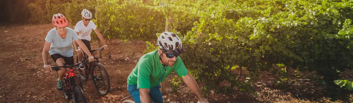 Ruta V&iacute;a Verde del Vino
