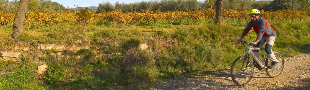 Ruta Vi&ntilde;as de Guara