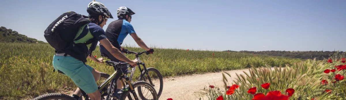 Wineries of la Carrodilla Route