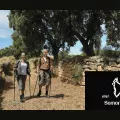 Camino Hist&oacute;rico Berbegal 1