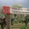 Ruta De Los Vi&ntilde;edos 4